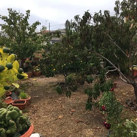 펜션 Casa Viges El Pinar (El Hierro)