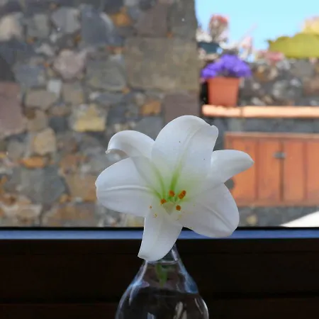 Casa Viges * El Pinar (El Hierro)
