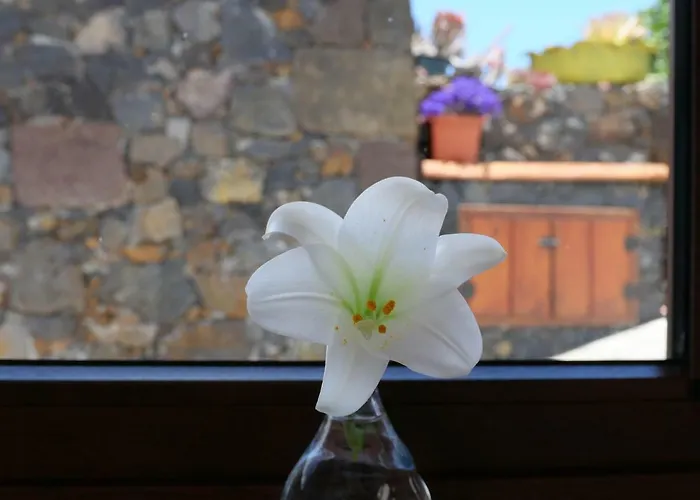 Casa Viges * El Pinar de El Hierro
